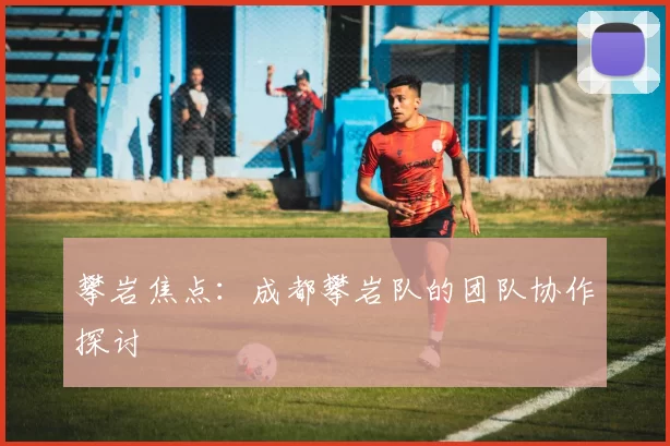 攀岩焦点：成都攀岩队的团队协作探讨